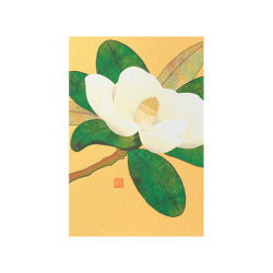 Midori Tarjeta de postales de madera de Tai Shan — foto 1