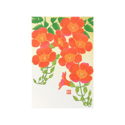 Midori Tarjeta postal Nouzenkazura — foto 1