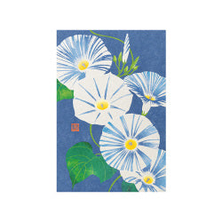 Midori Tarjeta de postales con hibisco — foto 1