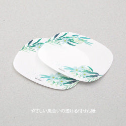 Midori Hoja — foto 4