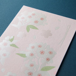 Midori Cerezos — foto 5