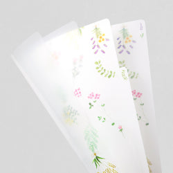 Midori Archivador transparente con flores secas — foto 5