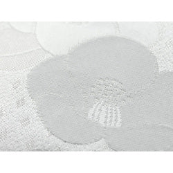 Midori Fukusa de nieve — foto 5