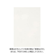 Midori Tarjeta de arce — foto 2