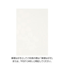Midori Tarjeta de correo otoño — foto 2