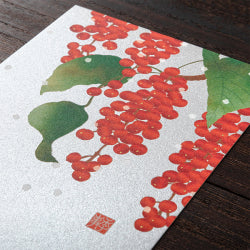 Midori Tarjeta postal de invierno — foto 3