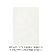 Midori Tarjeta de postales con caballo blanco — foto 2