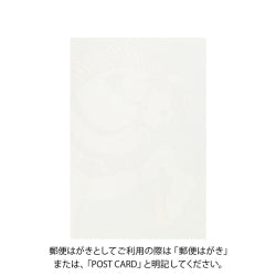 Midori Tarjeta de postales con caballo blanco — foto 2