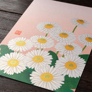 Midori Tarjeta de postales con margaritas — foto 3