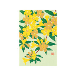 Midori Tarjeta de postales jazmín amarilla — foto 1