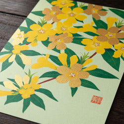 Midori Tarjeta de postales jazmín amarilla — foto 3