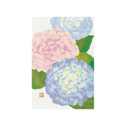 Midori Tarjeta de postales con hibisco — foto 1