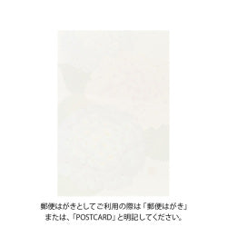 Midori Tarjeta de postales con hibisco — foto 2