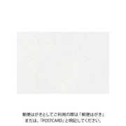 Midori Tarjeta de postales con agapanto — foto 2