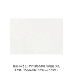 Midori Tarjeta de postales con agapanto — foto 2