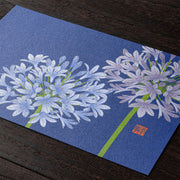 Midori Tarjeta de postales con agapanto — foto 3