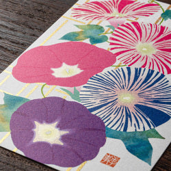 Midori Tarjeta de postales con hibisco — foto 3