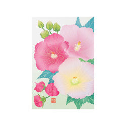 Midori Tarjeta de postales con hibisco — foto 1