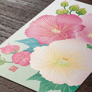 Midori Tarjeta de postales con hibisco — foto 3