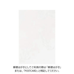 Midori Tarjeta postal Nouzenkazura — foto 2