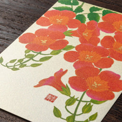 Midori Tarjeta postal Nouzenkazura — foto 3