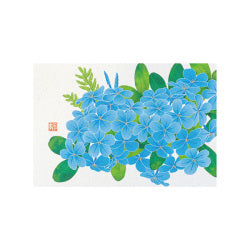 Midori Tarjeta de postales Lirio de agua — foto 1