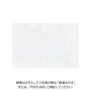 Midori Tarjeta de postales Lirio de agua — foto 2