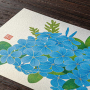 Midori Tarjeta de postales Lirio de agua — foto 3