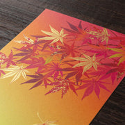 Midori Tarjeta de arce — foto 3