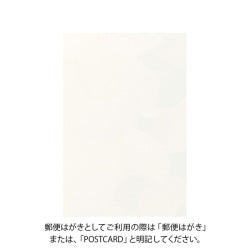 Midori Tarjeta de Correo Ginkgo — foto 2