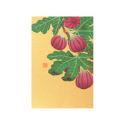 Midori Tarjeta de postales ichijiku — foto 1