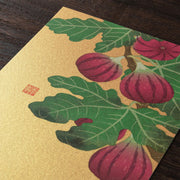Midori Tarjeta de postales ichijiku — foto 3