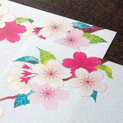 Midori Silk Cerezo — foto 4