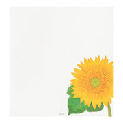 Midori Girasoles — foto 2