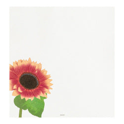 Midori Girasoles — foto 4