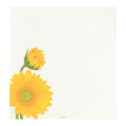 Midori Girasoles — foto 5