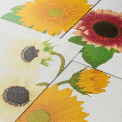 Midori Girasoles — foto 6