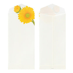 Midori Girasoles — foto 2