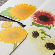 Midori Girasoles — foto 6