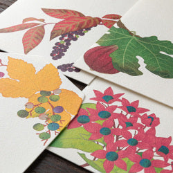 Midori Sobre de otoño — foto 6