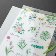 Midori transferencia de flores y hierbas — foto 3