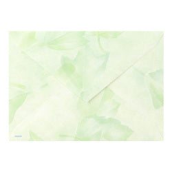 Midori Letter Set de color bosque — foto 3