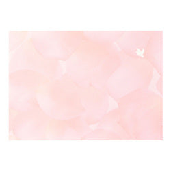 Midori Flores de Rosa — foto 4