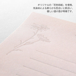 Midori Letter Set — foto 7