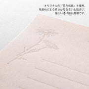 Midori Letter Set — foto 7