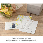 Midori Regalo de gato — foto 6