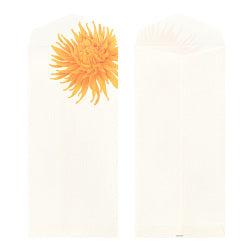 Midori Sobres con Dalias — foto 2