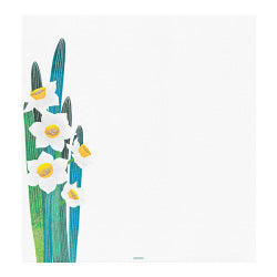 Midori Silk Narcisos — foto 2