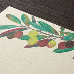 Midori Papel de carta aceituna — foto 3