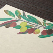 Midori Papel de carta aceituna — foto 3